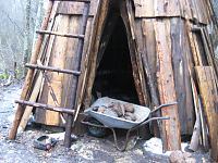  Saunategu 2008. m�rtsis p�stkojas